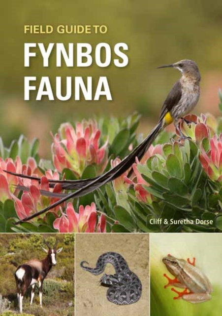 Field Guide to Fynbos Fauna, Paperback / softback Book