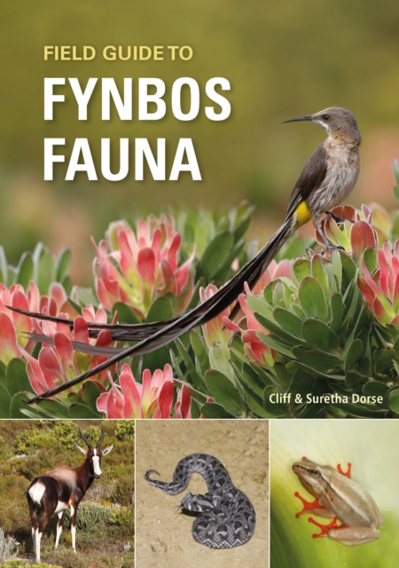 Field Guide to Fynbos Fauna, EPUB eBook
