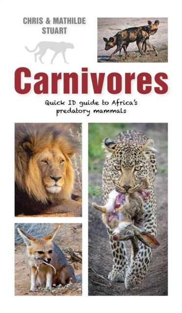 Carnivores : Quick ID Guide to Africa's predatory mammals: Chris Stuart:  9781775847922: Telegraph bookshop