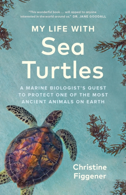 My Life with Sea Turtles : A Marine Biologist’s Quest to Protect One of the Most Ancient Animals on Earth, Hardback Book