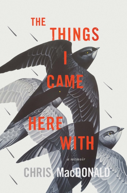The Things I Came Here With : A Memoir, PDF eBook