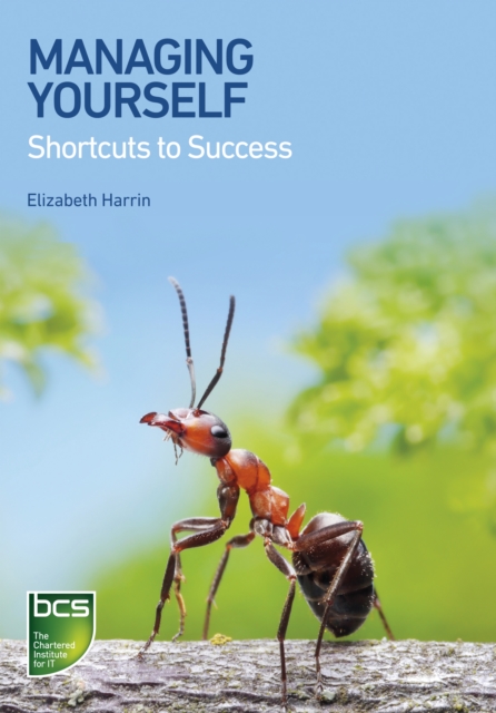 Managing Yourself : Shortcuts to success, PDF eBook