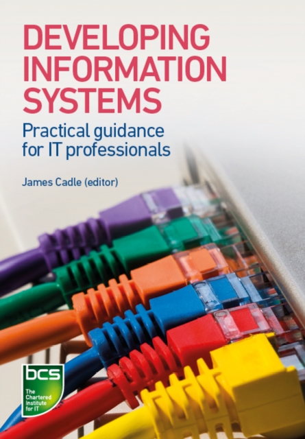 Developing Information Systems : Practical guidance for IT professionals, Paperback / softback Book