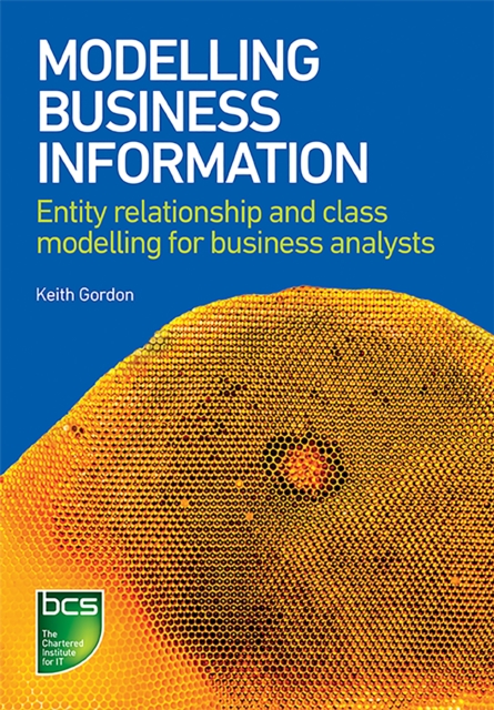 Modelling Business Information : Entity relationship and class modelling for Business Analysts, PDF eBook
