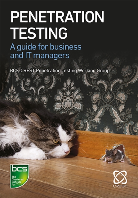 Penetration Testing : A guide for business and IT managers, Paperback / softback Book