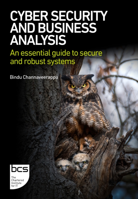 Cyber Security and Business Analysis : An essential guide to secure and robust systems, Paperback / softback Book