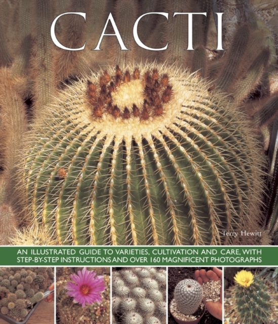 Cacti, Paperback / softback Book