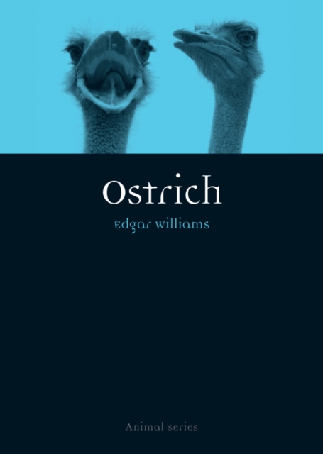 Ostrich, EPUB eBook