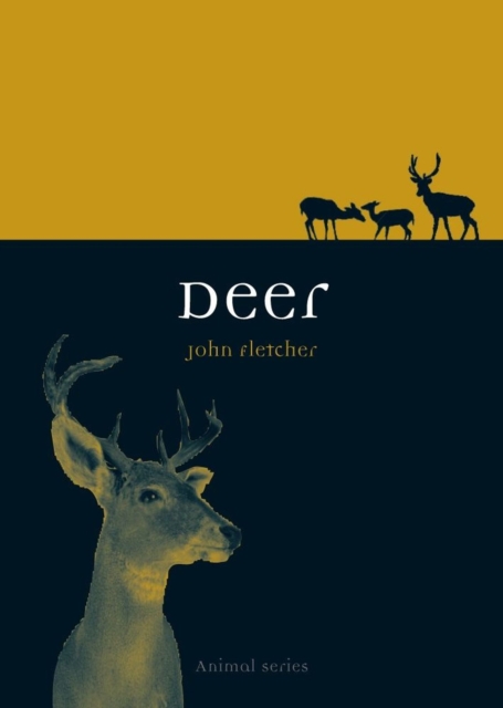 Deer, Paperback / softback Book