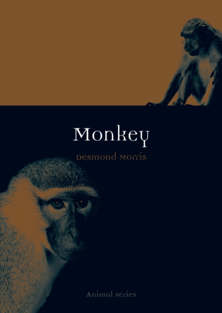 Monkey, EPUB eBook