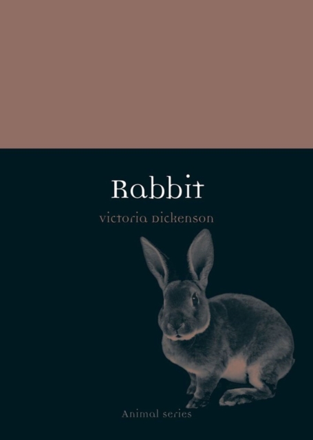 Rabbit, Paperback / softback Book