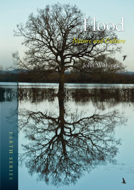 Flood : Nature and Culture, EPUB eBook