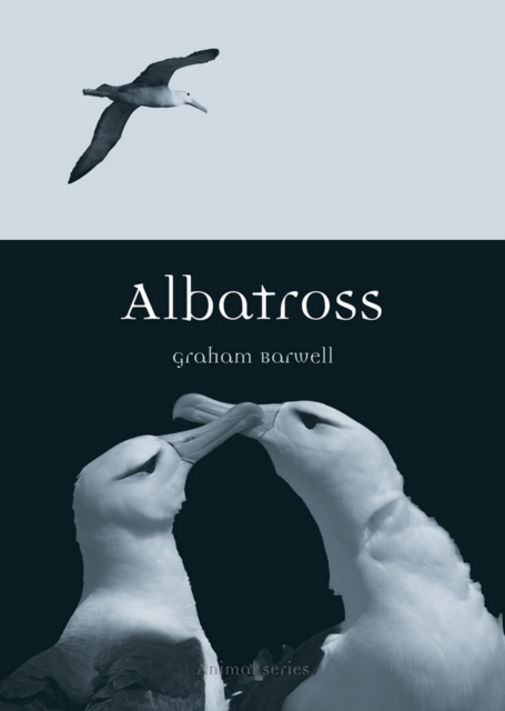 Albatross, EPUB eBook