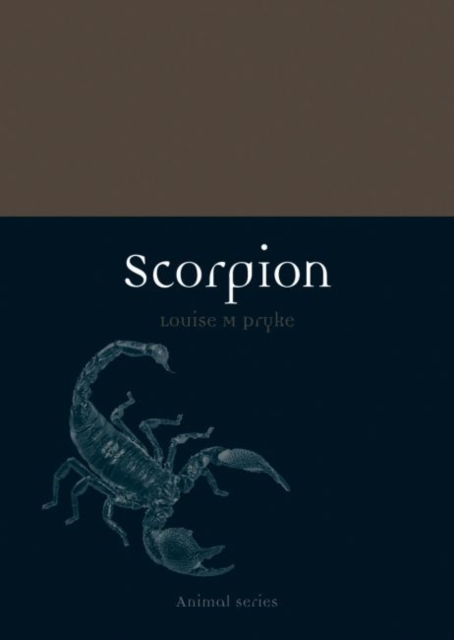 Scorpion, Paperback / softback Book