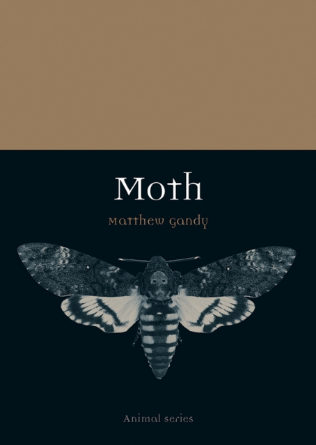 Moth, EPUB eBook