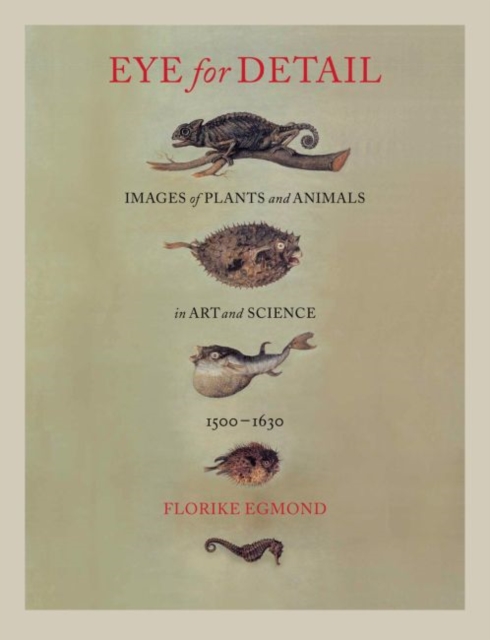 Eye for Detail : Images of Plants and Animals in Art and Science, 1500-1630, Hardback Book