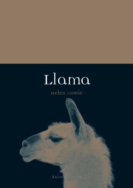 Llama, EPUB eBook