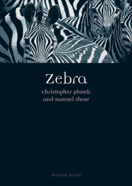 Zebra, Paperback / softback Book