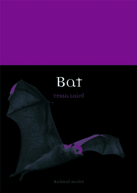 Bat, EPUB eBook