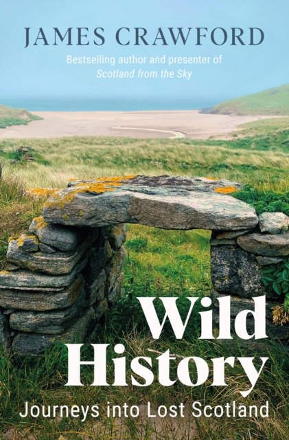 Wild History : Journeys into Lost Scotland, Paperback / softback Book