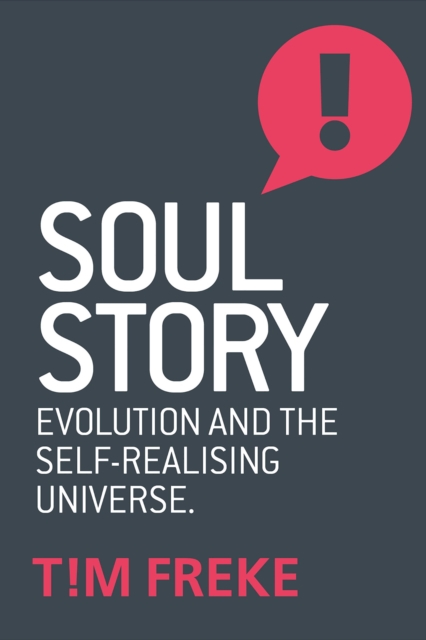 Soul Story : Evolution and The Purpose of Life, Paperback / softback Book