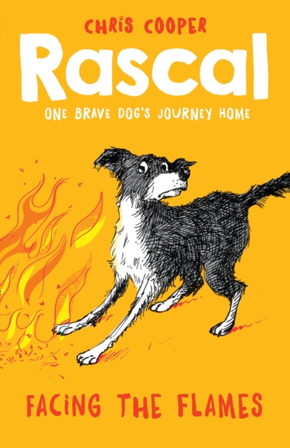 Rascal: Facing the Flames, EPUB eBook