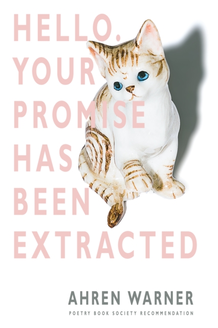 Hello. Your promise has been extracted, EPUB eBook