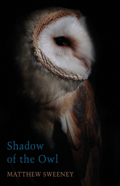 Shadow of the Owl, Paperback / softback Book