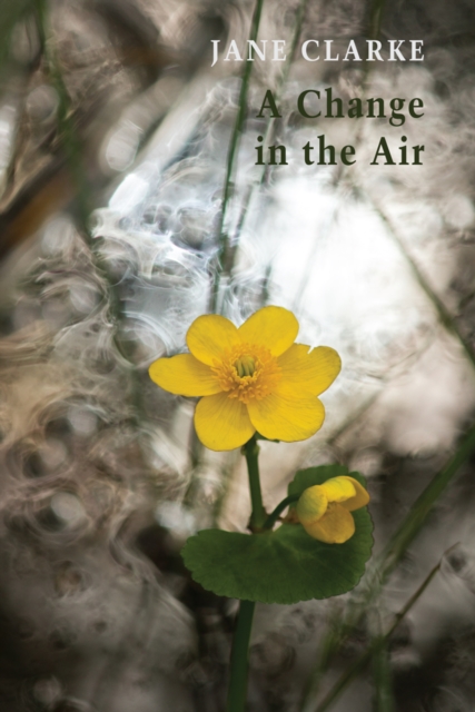 A Change in the Air, Paperback / softback Book