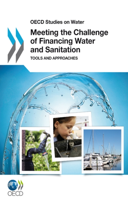 Meeting the Challenge of Financing Water and Sanitation, PDF eBook