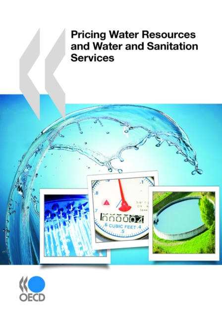 Pricing Water Resources and Water and Sanitation Services, PDF eBook