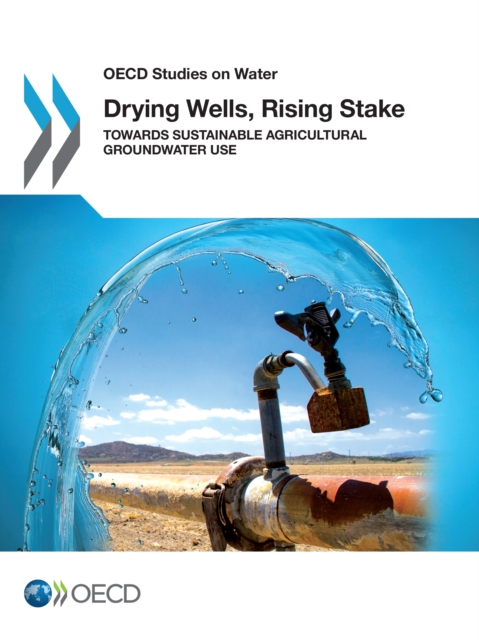 Drying Wells, Rising Stakes - Towards Sustainable Agricultural Groundwater Use, PDF eBook