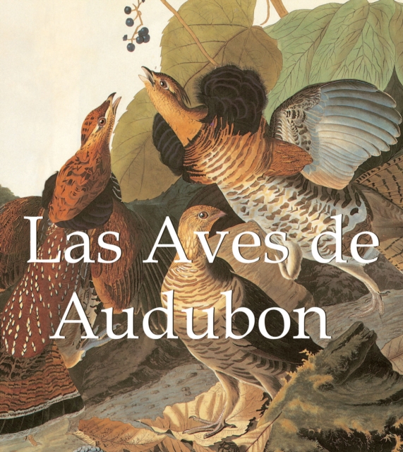 Las Aves de Audubon, PDF eBook