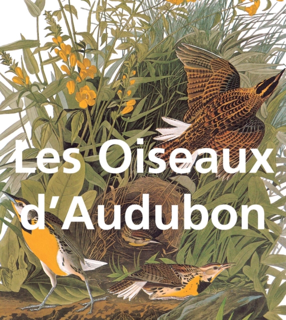 Les Oiseaux d'Audubon, PDF eBook