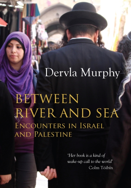 Between River and Sea, EPUB eBook