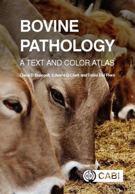 Bovine Pathology : A Text and Color Atlas, Hardback Book