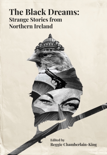 The Black Dreams : Strange stories from Northern Ireland, EPUB eBook