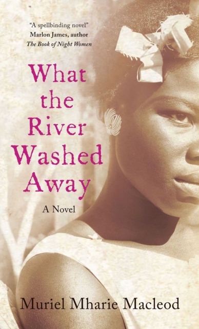 What the River Washed Away, EPUB eBook