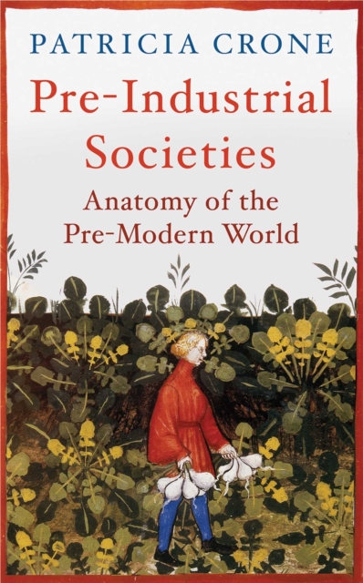 Pre-Industrial Societies : Anatomy of the Pre-Modern World, EPUB eBook