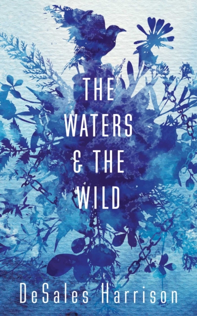 The Waters and the Wild, EPUB eBook