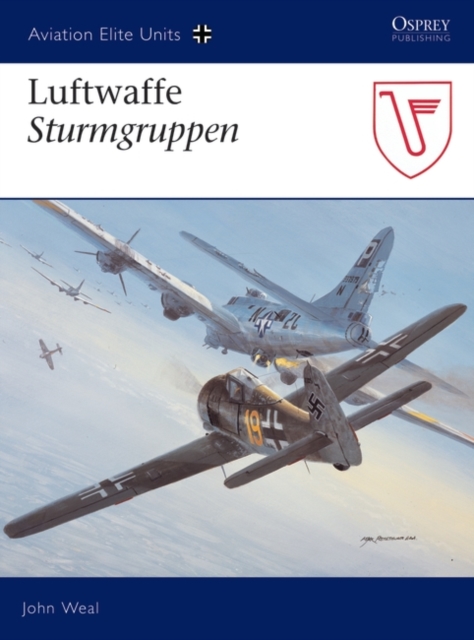 Luftwaffe Sturmgruppen, PDF eBook