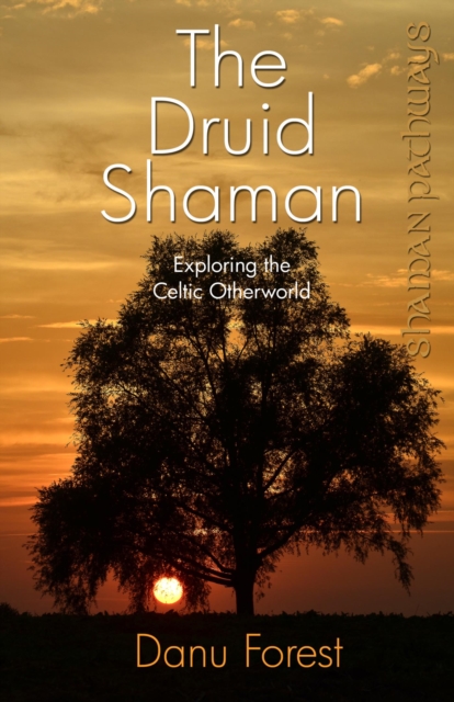 Shaman Pathways - The Druid Shaman : Exploring the Celtic Otherworld, EPUB eBook