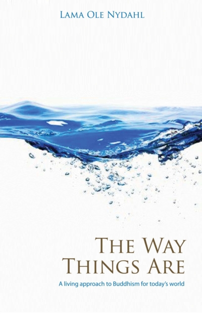 Way Things Are : A Living Approach to Buddhism, EPUB eBook