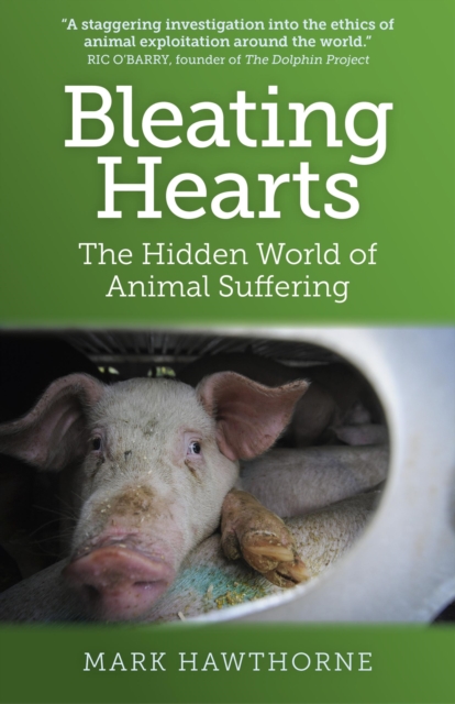 Bleating Hearts : The Hidden World of Animal Suffering, EPUB eBook