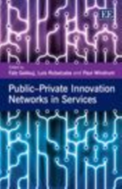 Public-Private Innovation Networks in Services, PDF eBook