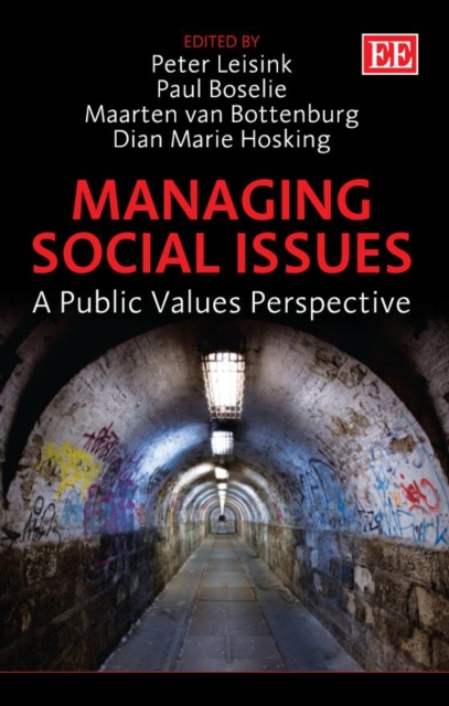 Managing Social Issues : A Public Values Perspective, PDF eBook
