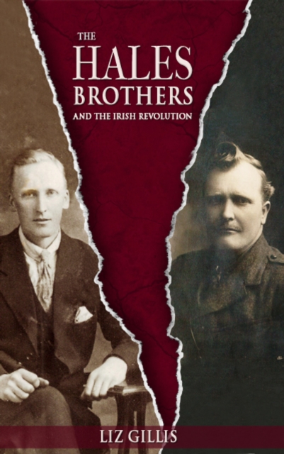 The Hales Brothers and the Irish Revolution, EPUB eBook