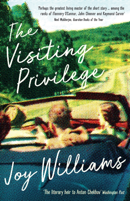 The Visiting Privilege, Paperback / softback Book