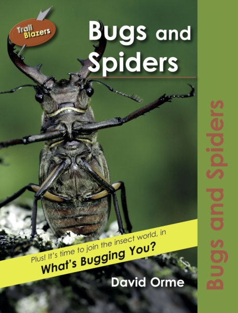 Bugs and Spiders, PDF eBook