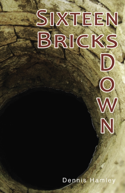 Sixteen Bricks Down, EPUB eBook